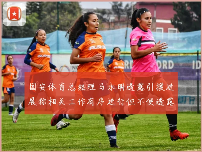 国安体育总经理马永明透露引援进展称相关工作有序进行但不便透露名字