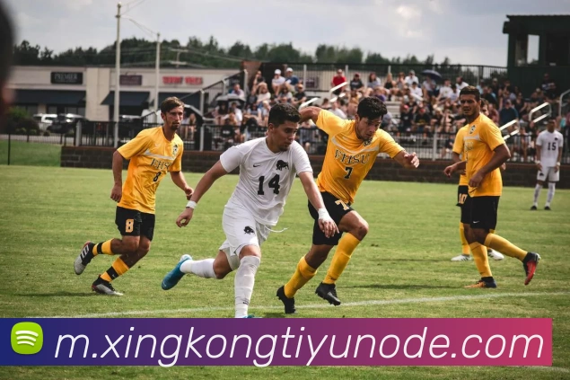 星空体育服务体系