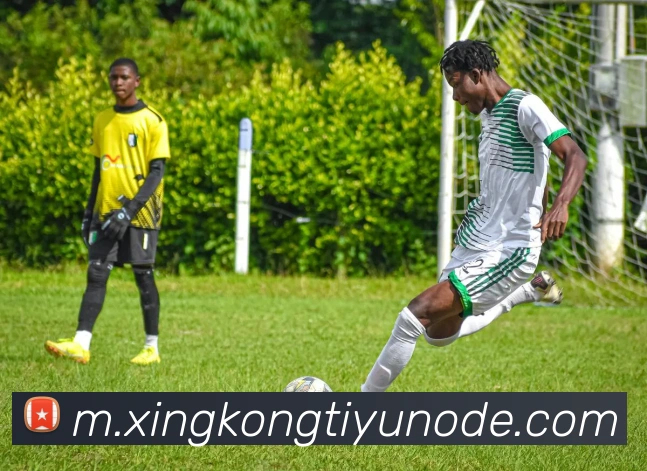 星空体育APP 体育赛事宣传图